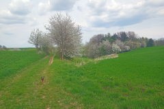 IMG20220501142815