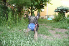 Terry2